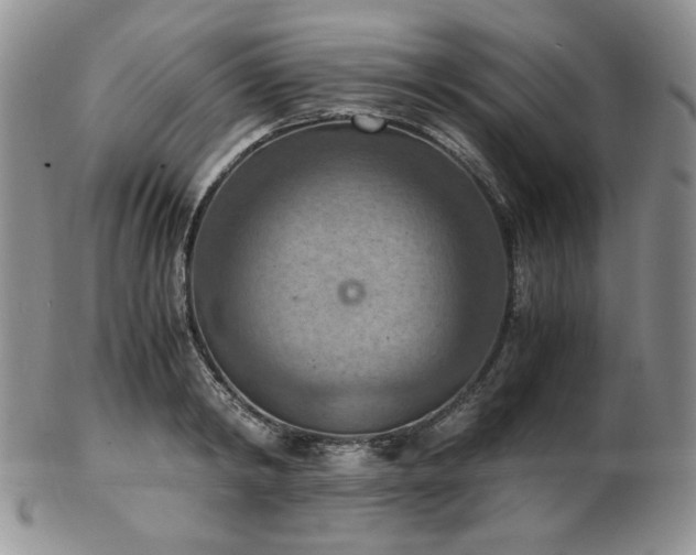 X0000103140798200808221215