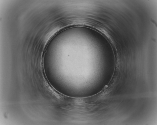 X0000103140799200808221215