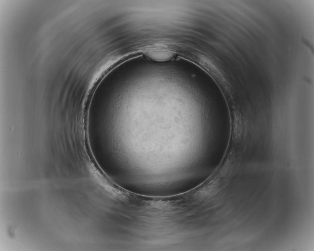 X0000103140800200808221215