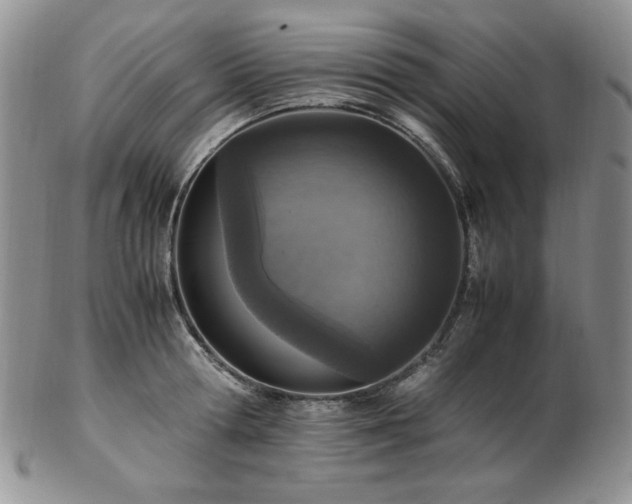 X0000103140802200808221215