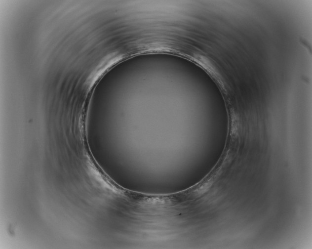 X0000103140806200808221215