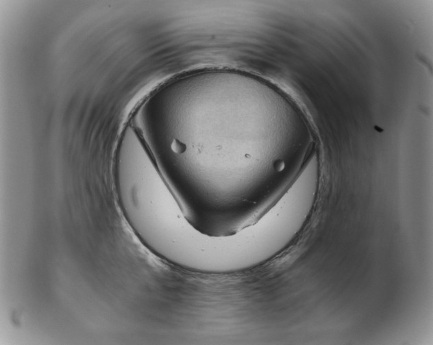 X0000103140807200808221215