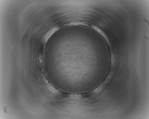 X0000103140809200808221215