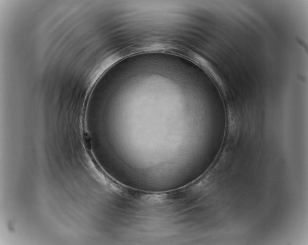 X0000103140810200808221215