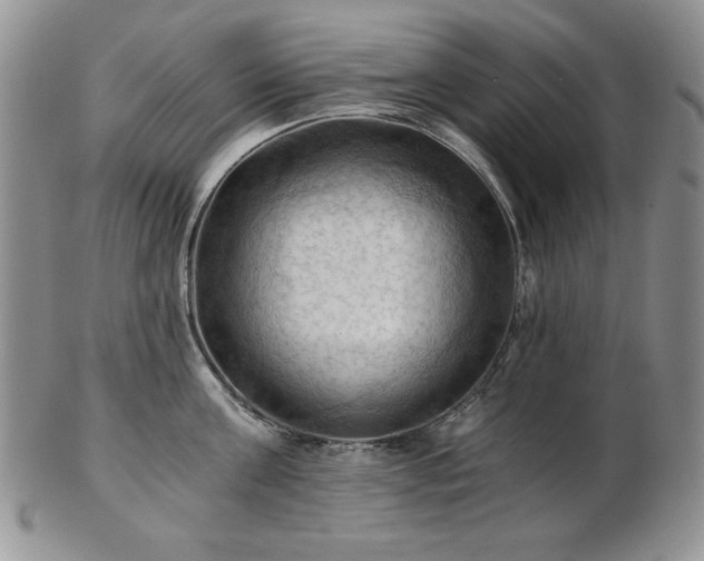 X0000103140811200808221214