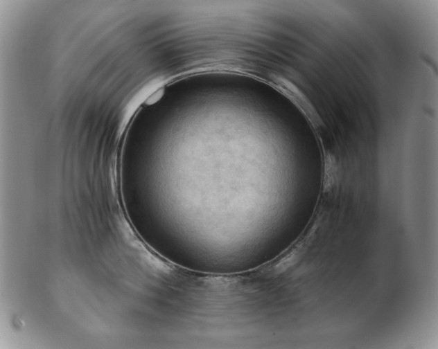 X0000103140812200808221214