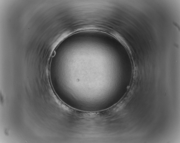 X0000103140813200808221214