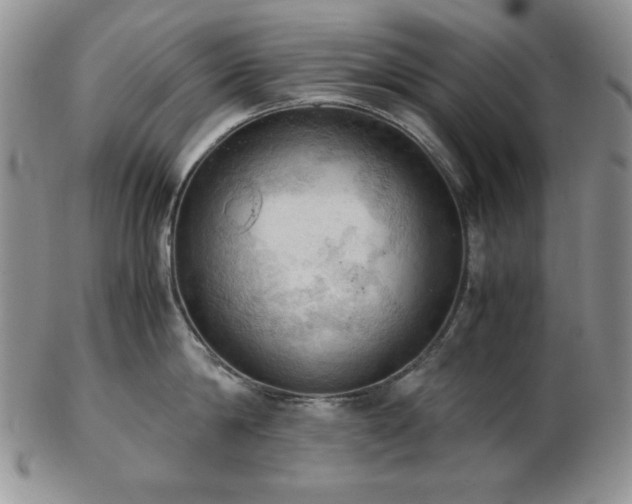 X0000103140814200808221214