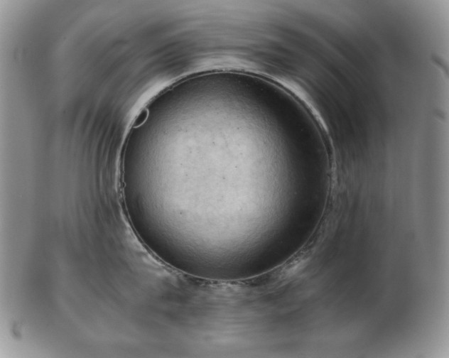 X0000103140815200808221214