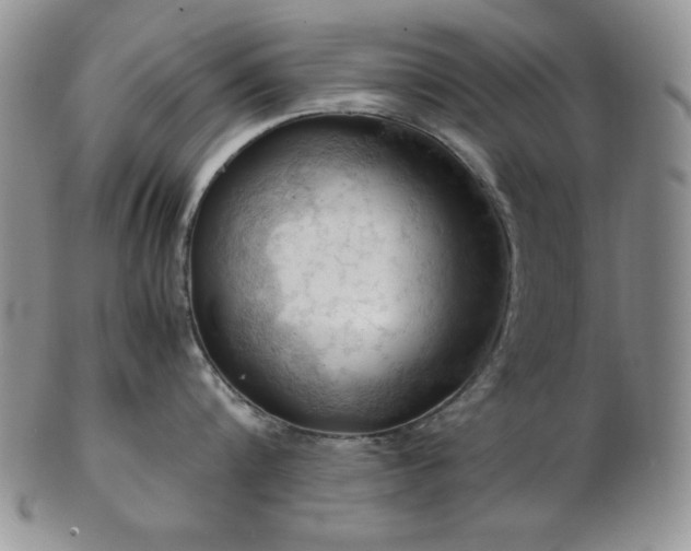 X0000103140816200808221214