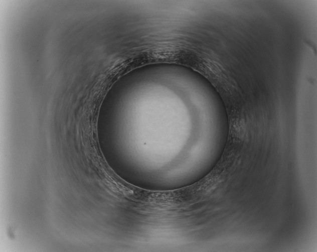 X0000103140817200808221214