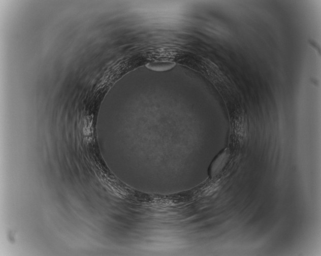 X0000103140818200808221214