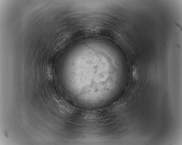 X0000103140819200808221214