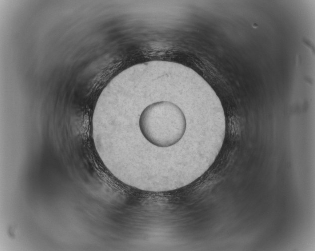 X0000103140820200808221214