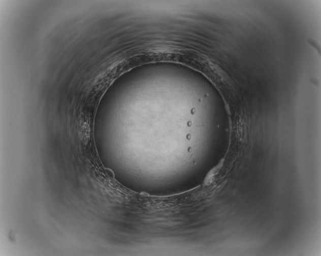 X0000103140821200808221214