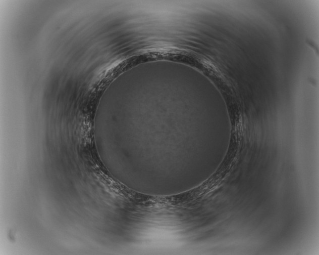 X0000103140822200808221214