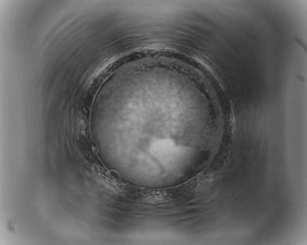 X0000103140823200808221214