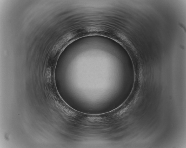 X0000103140825200808221214