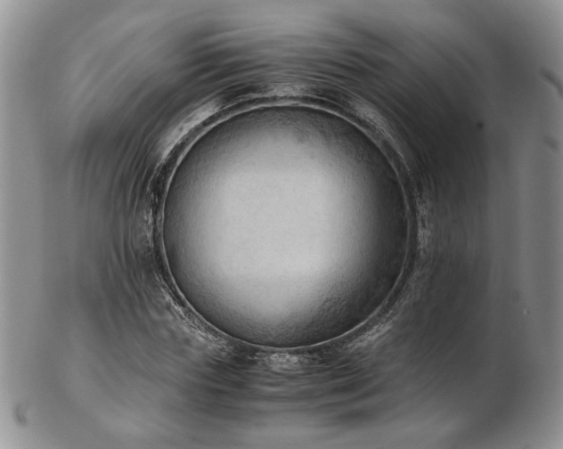 X0000103140827200808221214