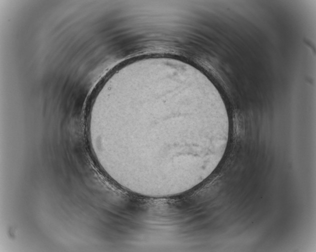 X0000103140828200808221214