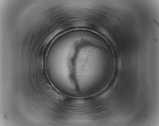 X0000103140829200808221214