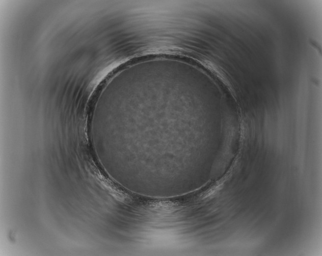 X0000103140830200808221214