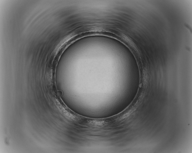 X0000103140831200808221214