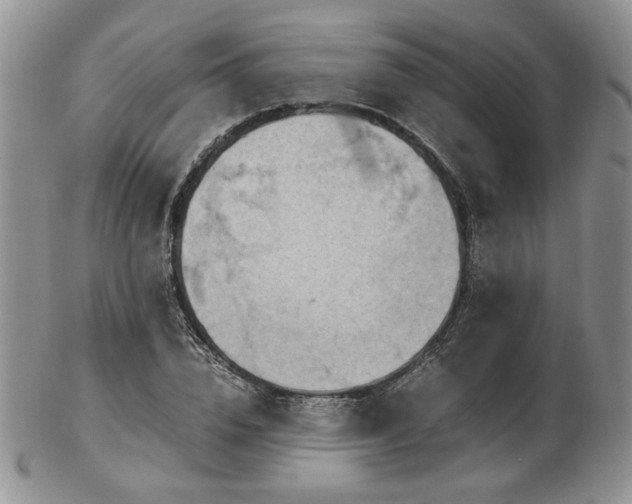 X0000103140832200808221214