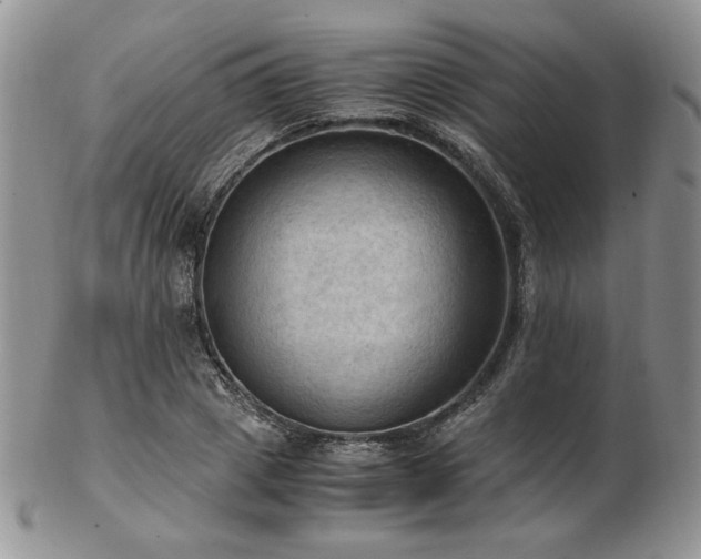 X0000103140833200808221214