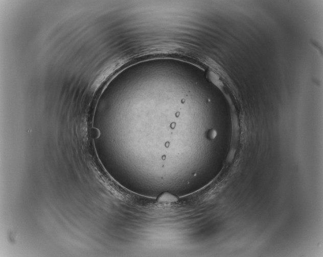 X0000103140834200808221214