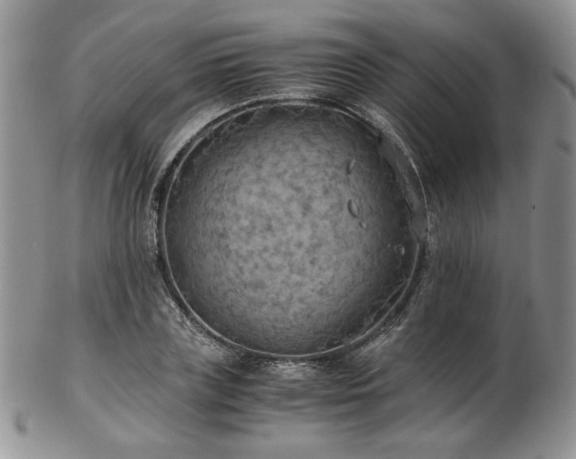 X0000103140835200808221214