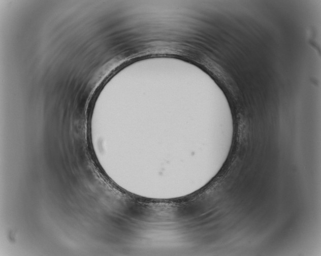 X0000103140836200808221214