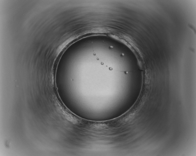 X0000103140837200808221214