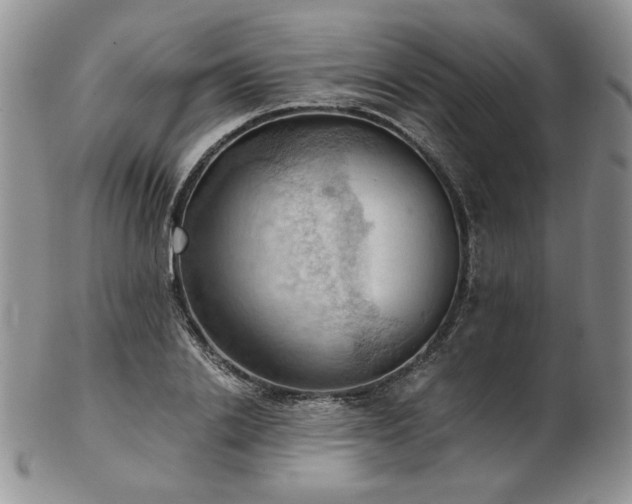 X0000103140838200808221214