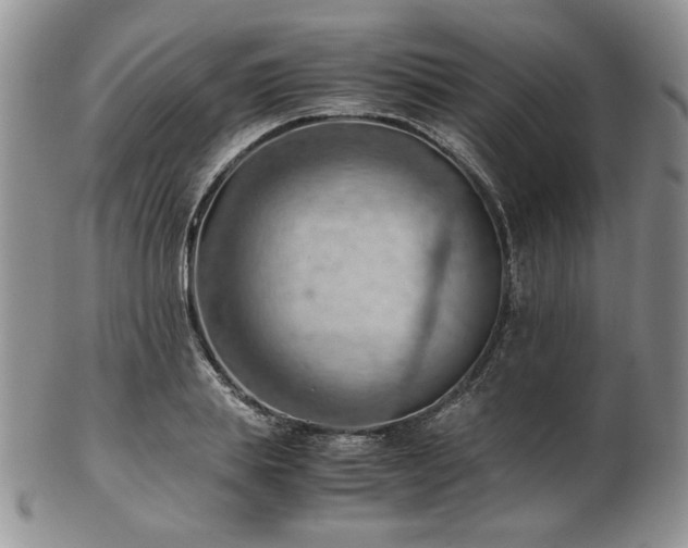 X0000103140839200808221214