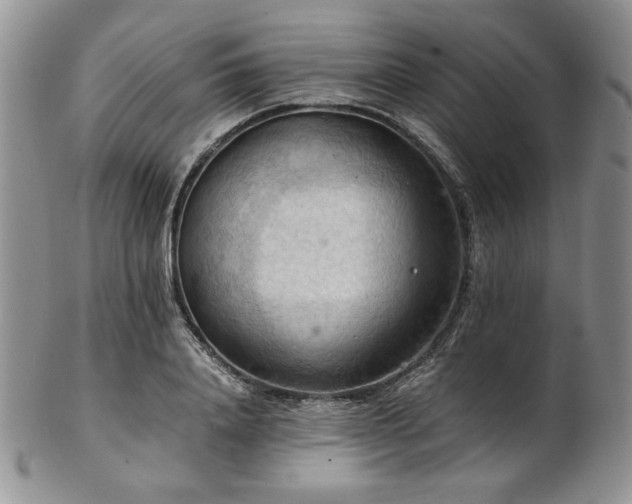 X0000103140840200808221214