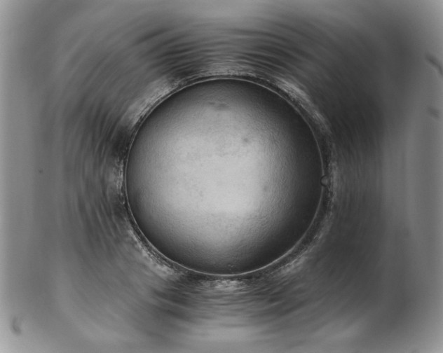 X0000103140841200808221214