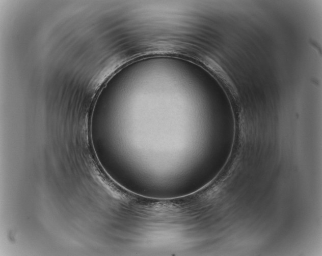 X0000103140842200808221214