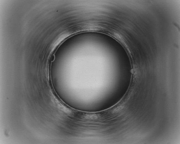 X0000103140843200808221214