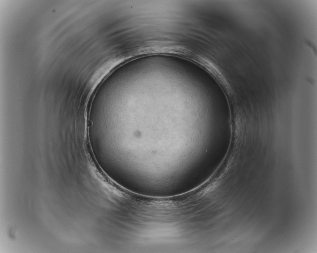 X0000103140844200808221214