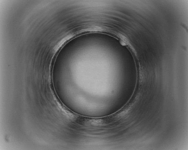 X0000103140845200808221214