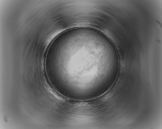 X0000103140846200808221214