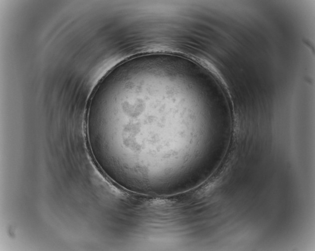 X0000103140847200808221214