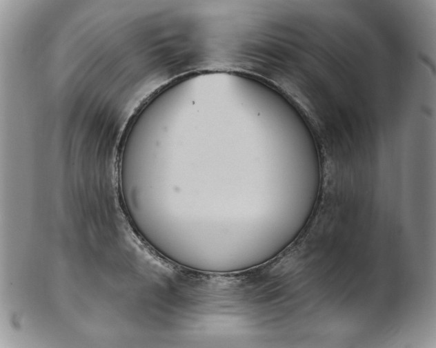 X0000103140848200808221214