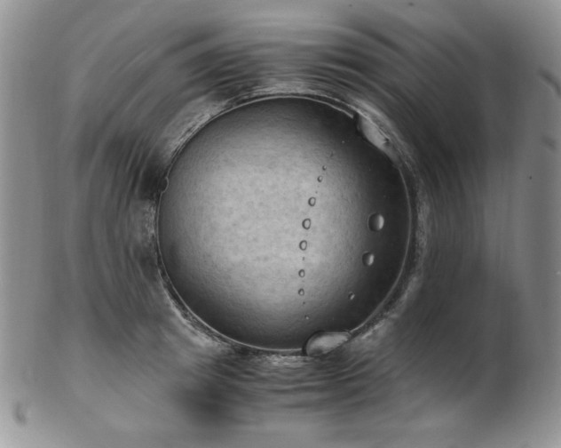 X0000103140849200808221214