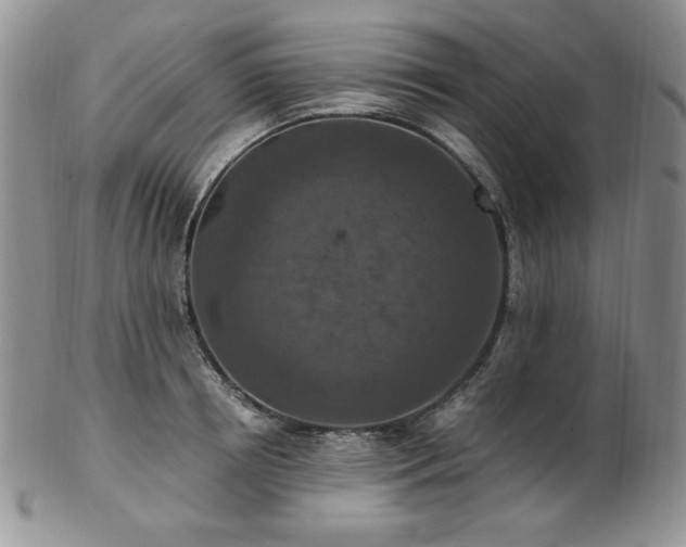 X0000103140850200808221214