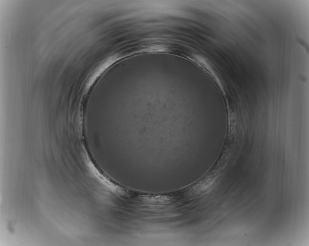 X0000103140851200808221214