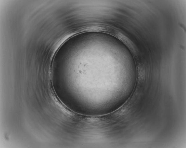 X0000103140852200808221214