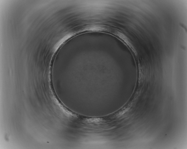 X0000103140853200808221214