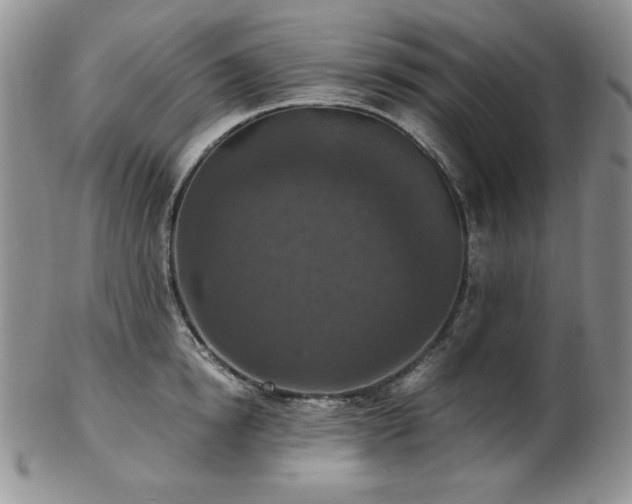 X0000103140854200808221214